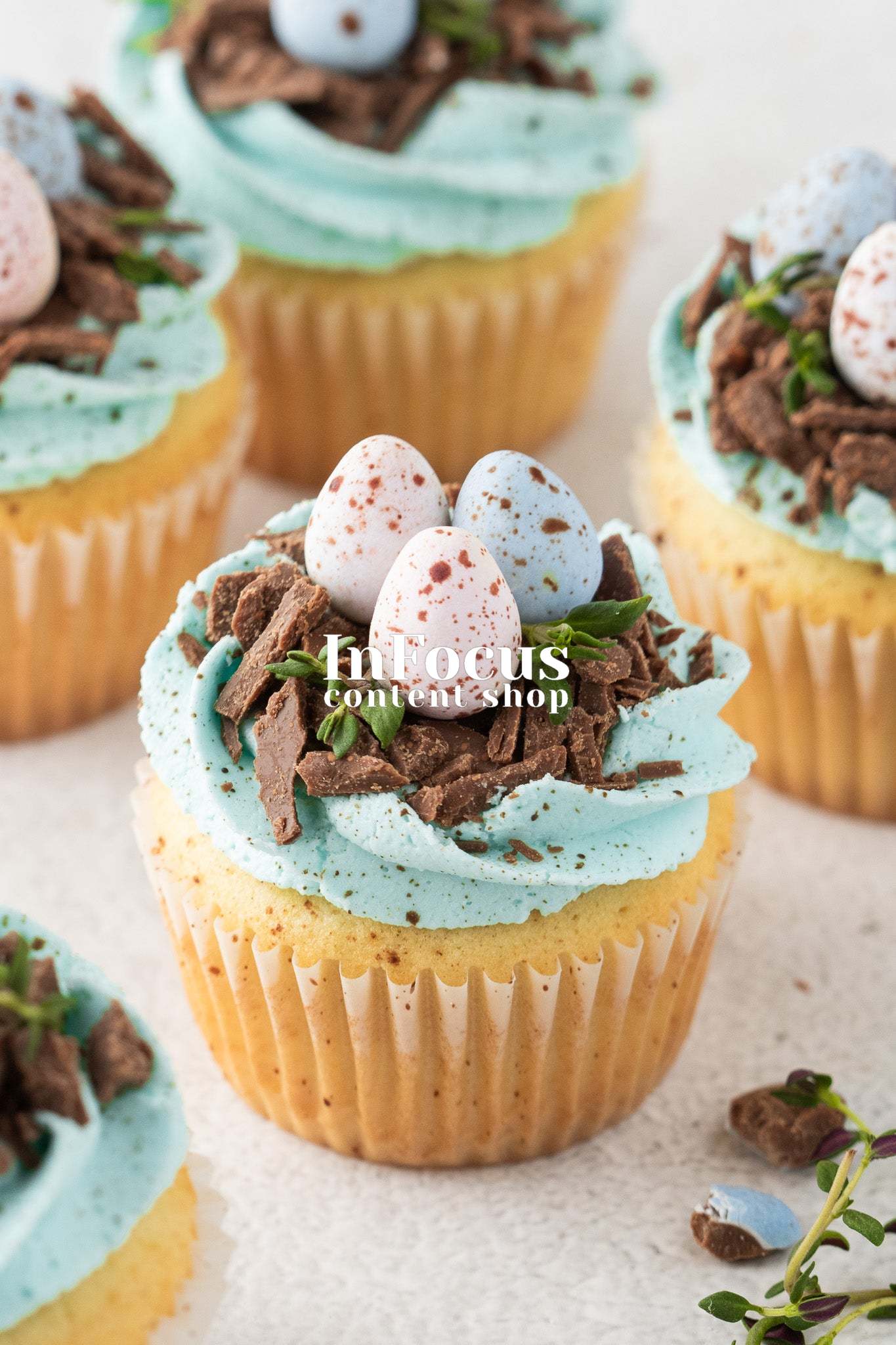 Robin's Egg Easter Cupcakes- Exclusive