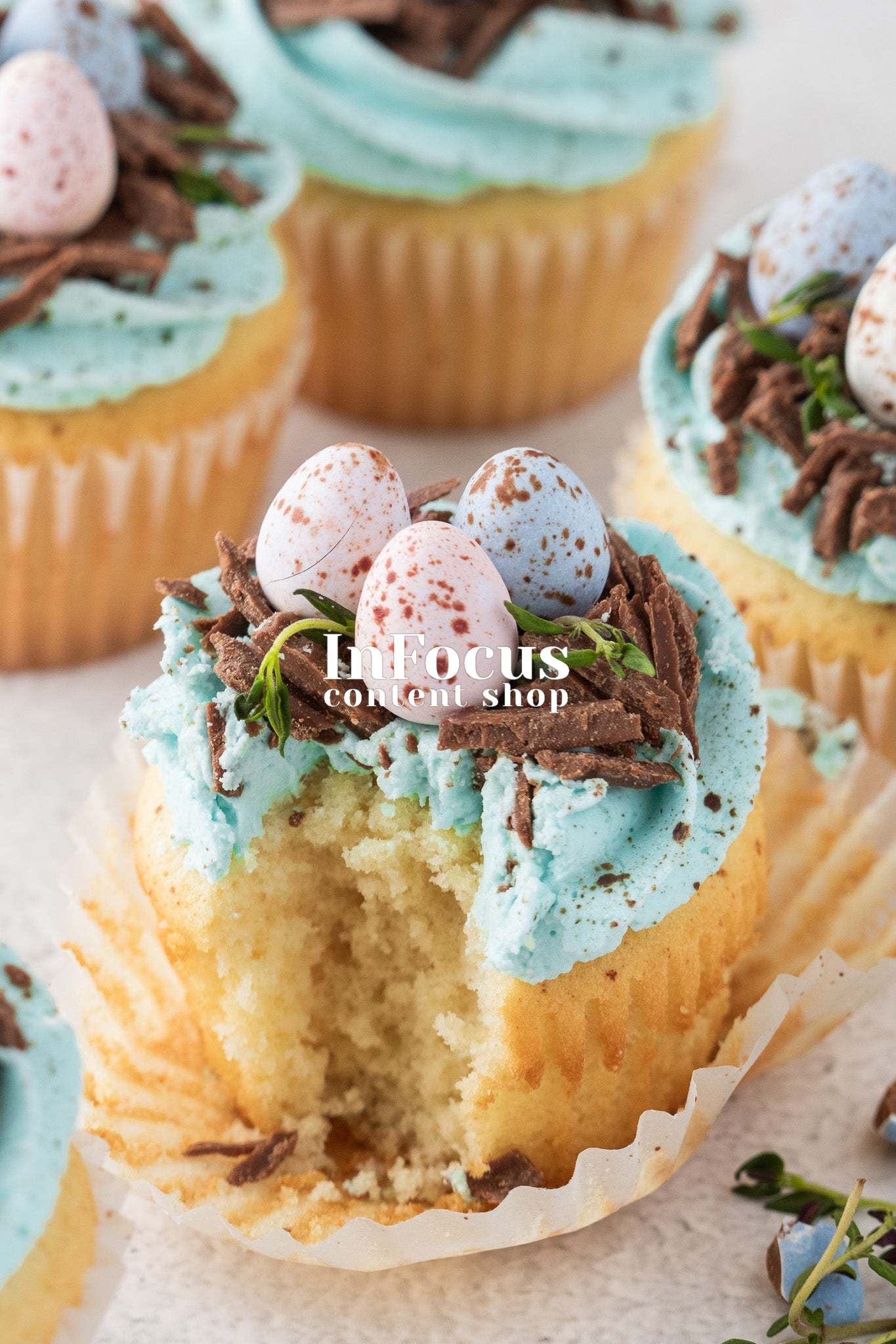 Robin's Egg Easter Cupcakes- Exclusive