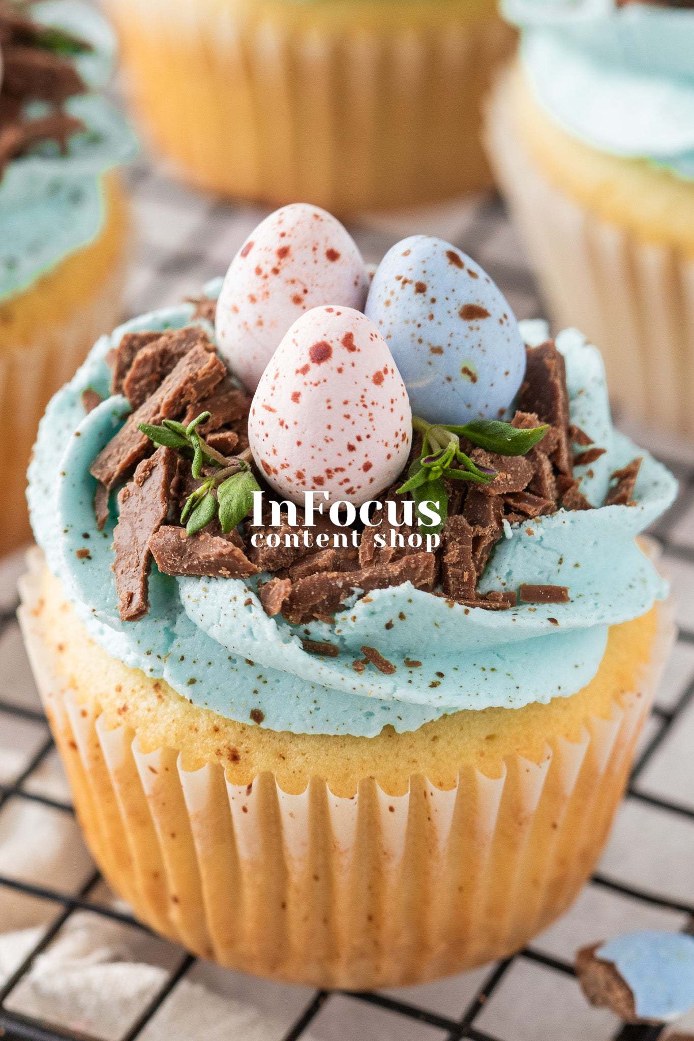 Robin's Egg Easter Cupcakes- Exclusive