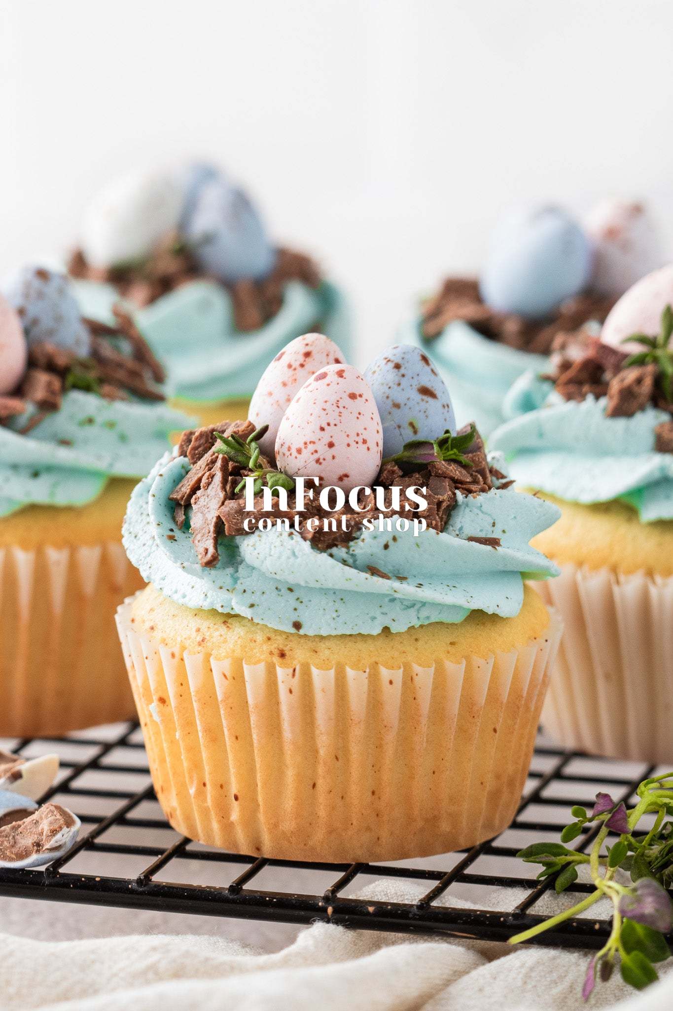 Robin's Egg Easter Cupcakes- Exclusive