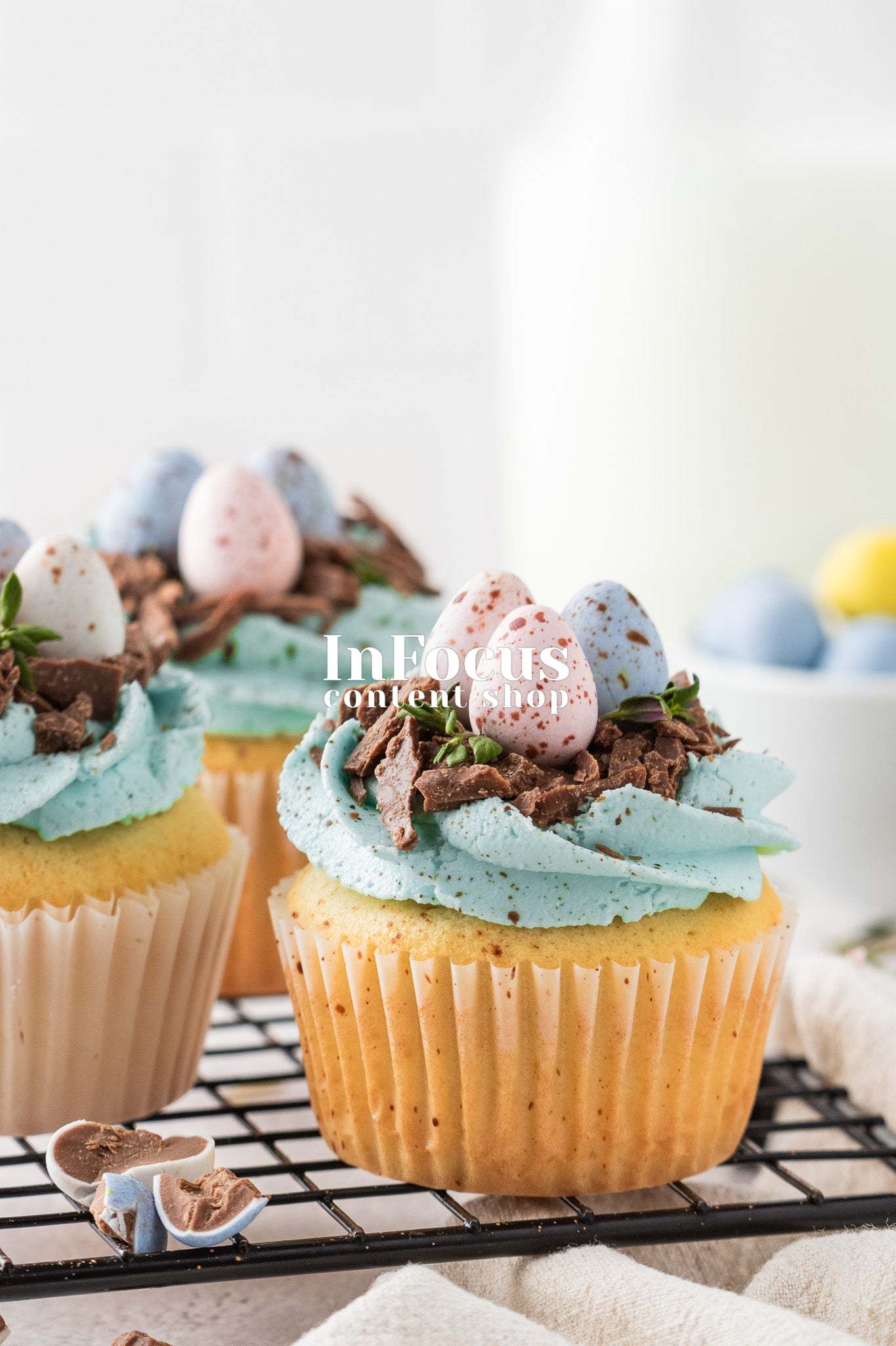 Robin's Egg Easter Cupcakes- Exclusive