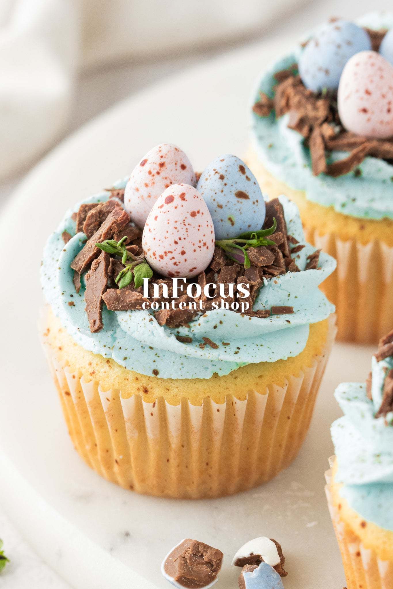 Robin's Egg Easter Cupcakes- Exclusive