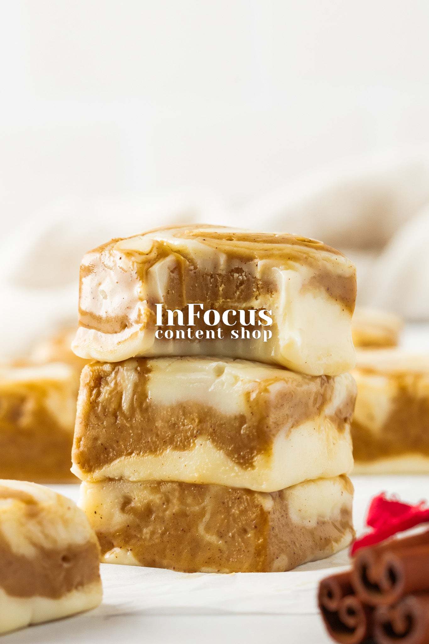 Gingerbread Swirl Fudge- Exclusive