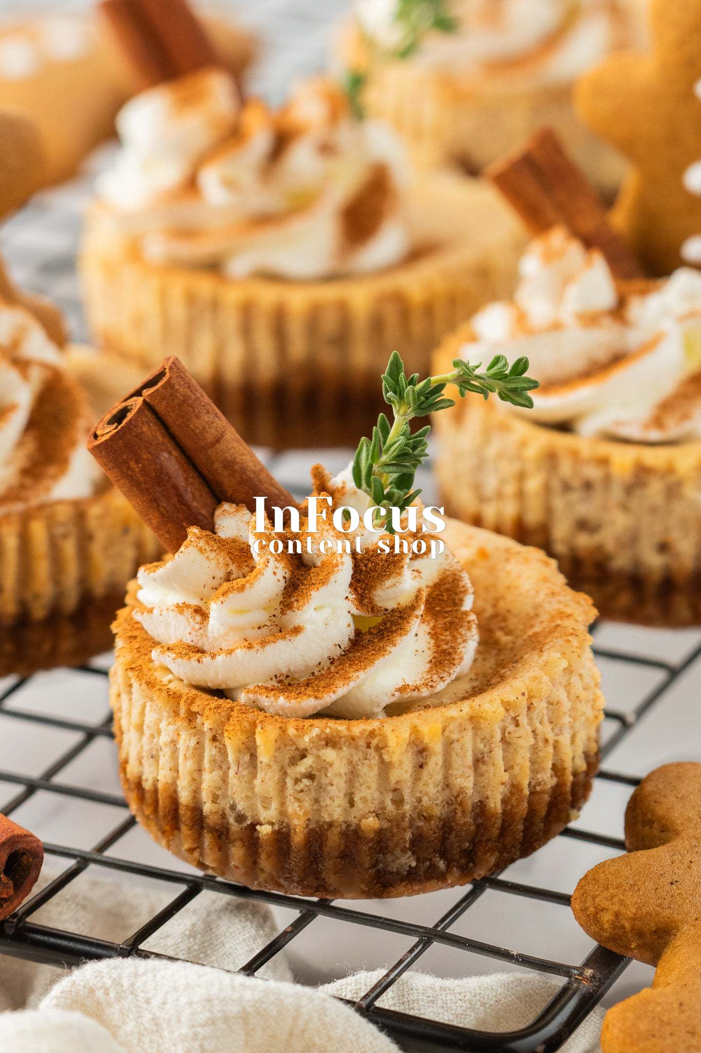 Mini Gingerbread Cheesecakes- Exclusive